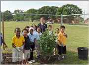 Using rainwater to develop an elementary school's garden