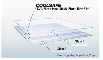 (The structure of COOLSAFE)