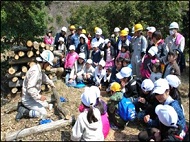 Nature watching event for children