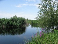 Saint-Jean River running nearby the Joliette Plant