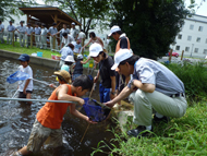 Nature watching event