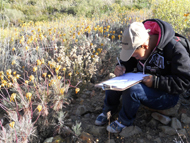 Nature observation at the nature experience programs