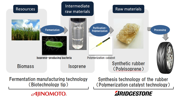 Respective roles of the Group and Ajinomoto in the joint development and material processes for the product