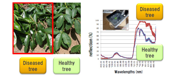 Spectral measurement of leaf-surface
