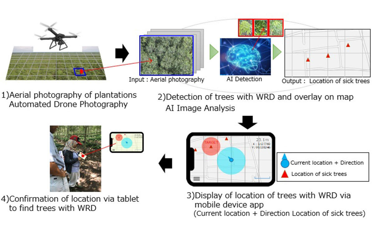 Bridgestone Announces Joint Development of High-Precision Para Rubber Tree Disease Diagnosis Technology 