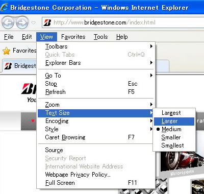 Internet Explorer (Windows)