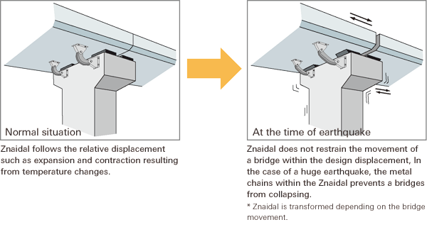 Function of Znaidal