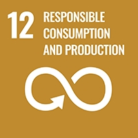 12 RESPONSIBLE SONSUMPTION AND PRODUCTION