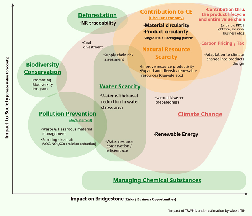Bridgestone Group’s Long-term Environmental Vision