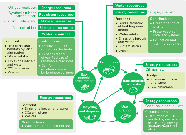 Relationship Between the Bridgestone Group’s Tire Operations and Biodiversity