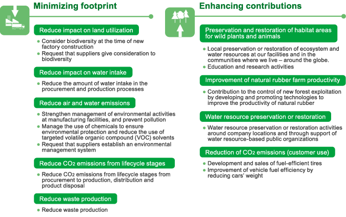 Priority Issues and Key Actions