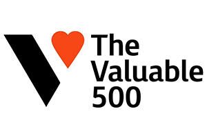 The Valuable 500