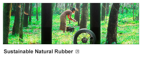 Sustainable Natural Rubber