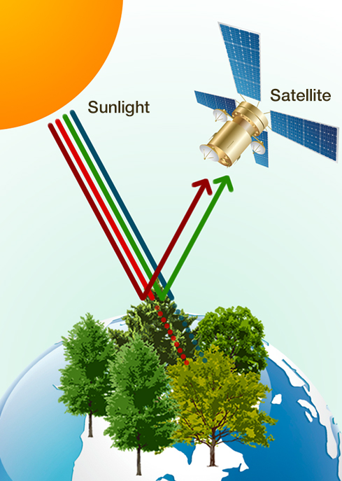 Diagnosis by satellite image analysis